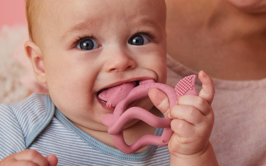 Gryzak B.BOX Lisek BB100310 Zielony