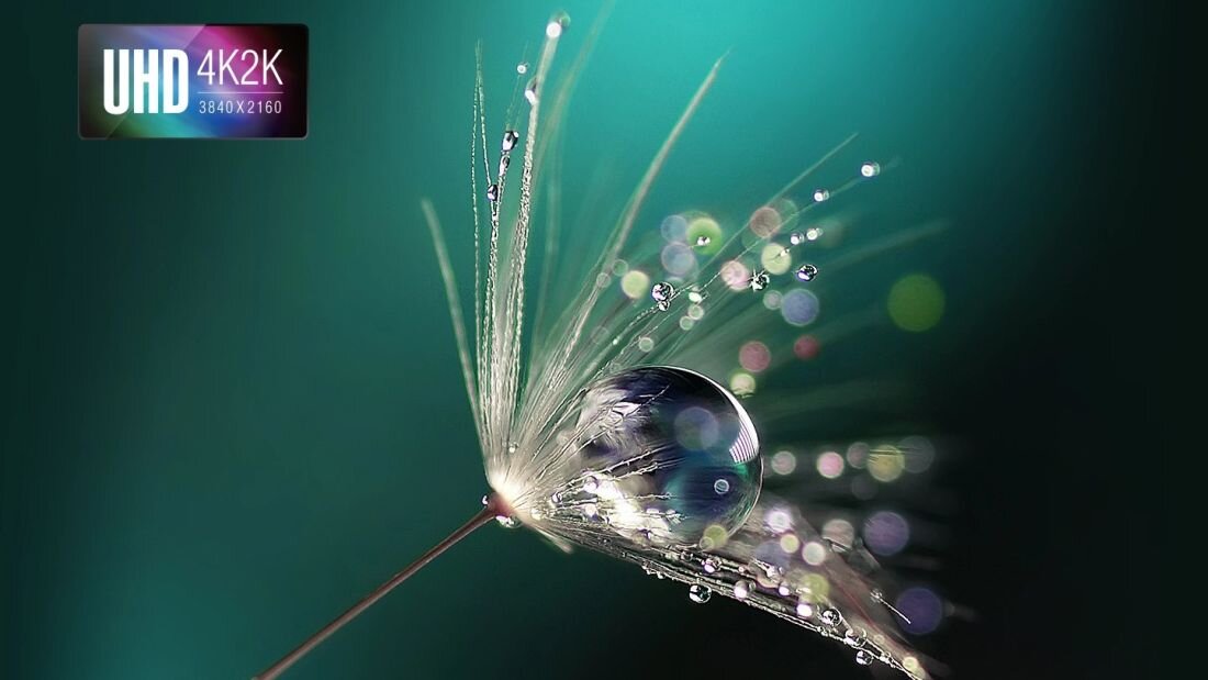 Projektor ACER ApexVision L812 - Projektor   