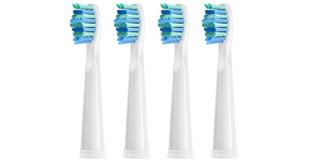 Końcówka szczoteczki FAIRYWILL FW-01 (4 szt.) opis glowny banner czyszczenie higiena