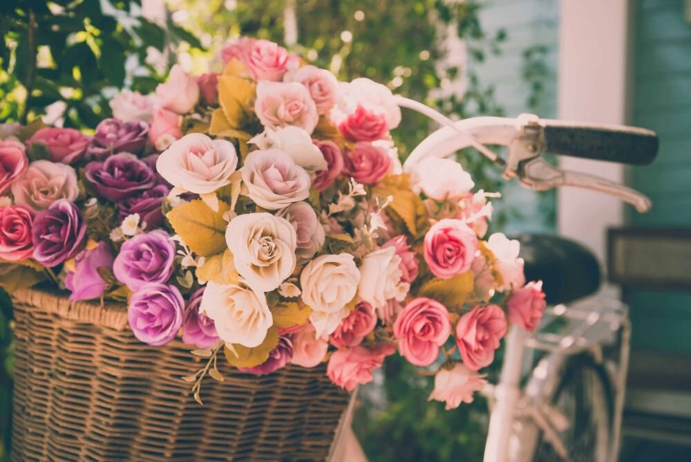 Kosz wiklinowy na rowerze wypełniony jest różnokolorowymi różami, w tym różowymi, białymi i fioletowymi. W tle widoczne są zielone liście i fragment roweru.