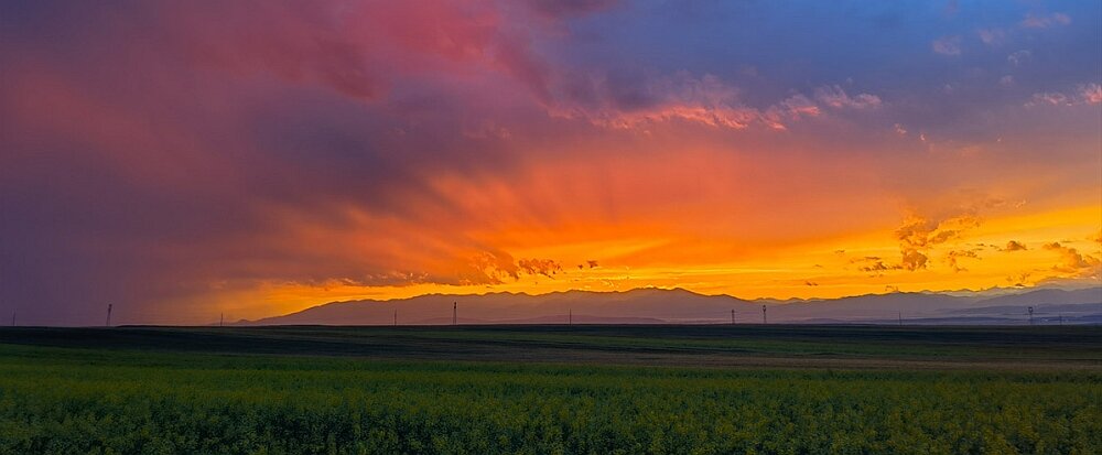 Smartfon HUAWEI P50 Pro ekran pamięć dysk ram procesor aparat łączność system aplikacje pojemność rozdzielczość opis dane cechy zdjęcia częstotliwość 