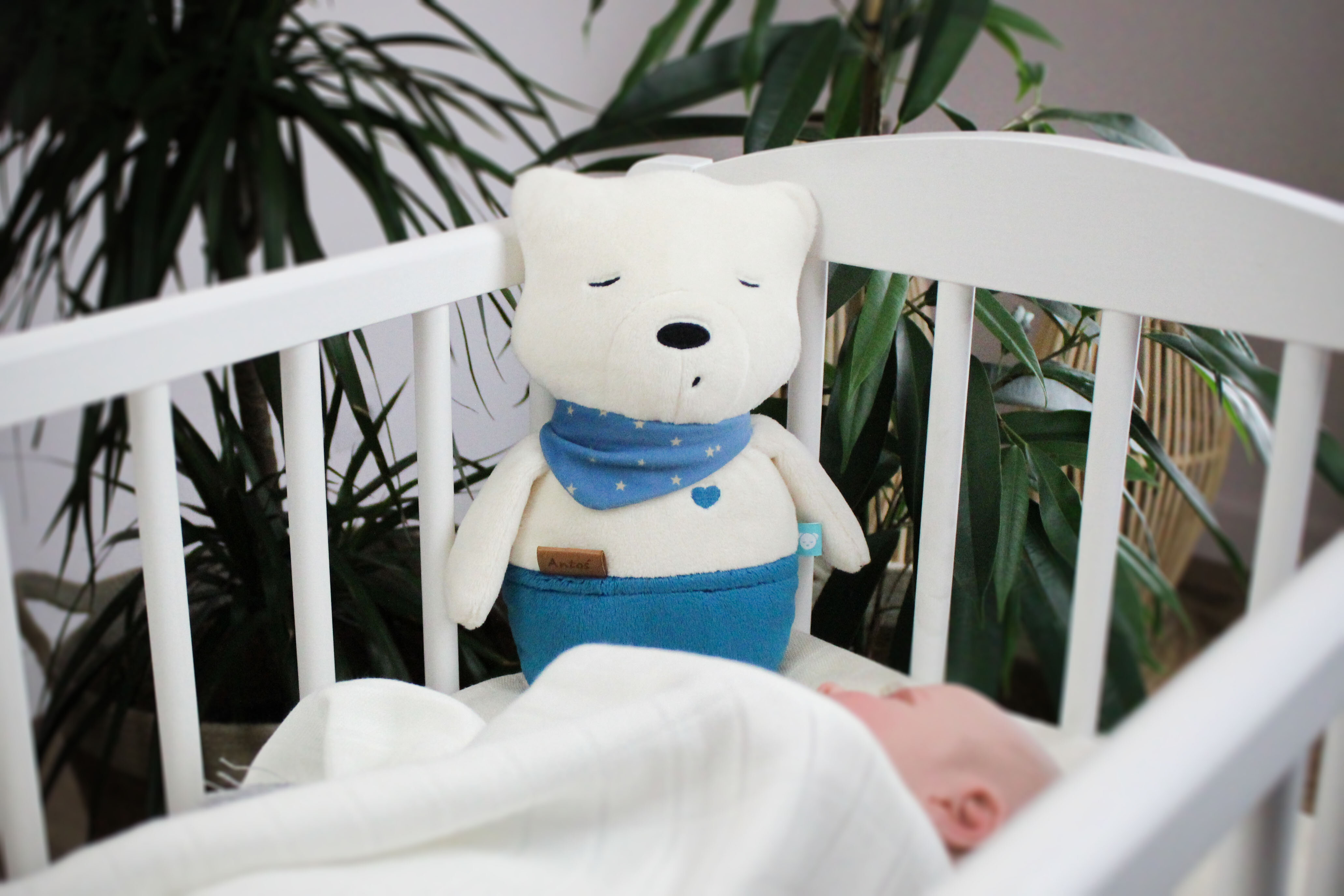  Szumiś Antoś z czujnikiem snu 