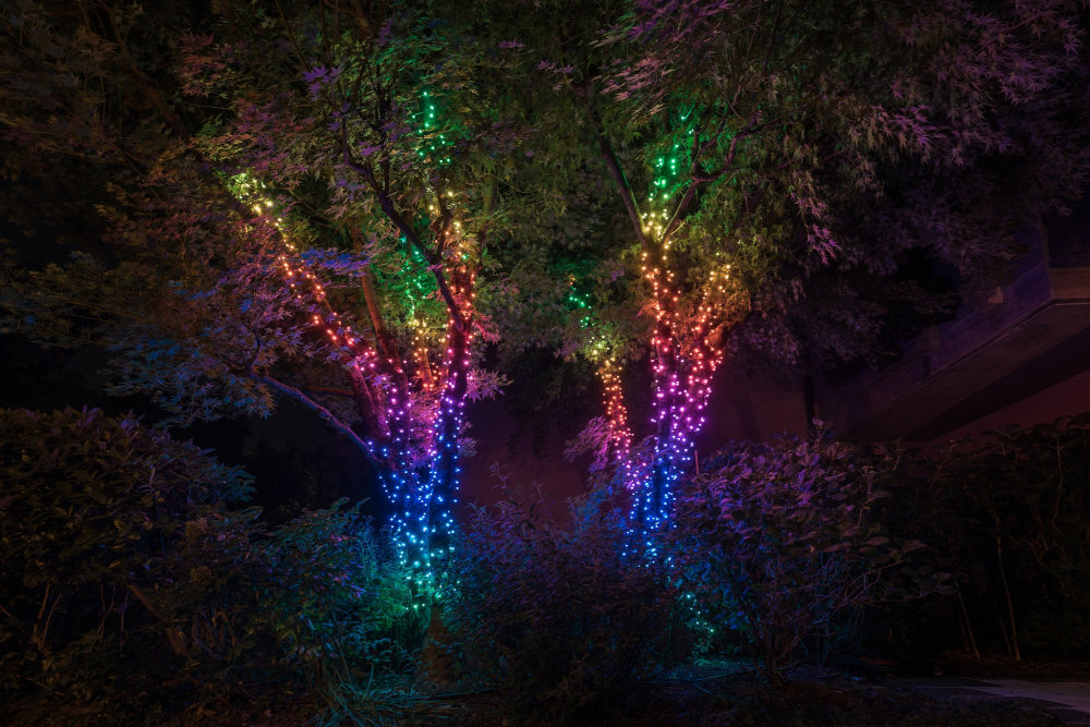Lampki Choinkowe LED TWINKLY sterowanie komfort