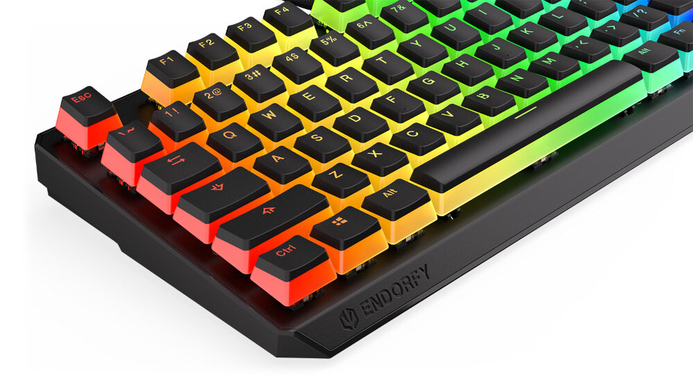 Klawiatura ENDORFY Thock TKL Pudding Kailh RGB klawisze podświetlenie