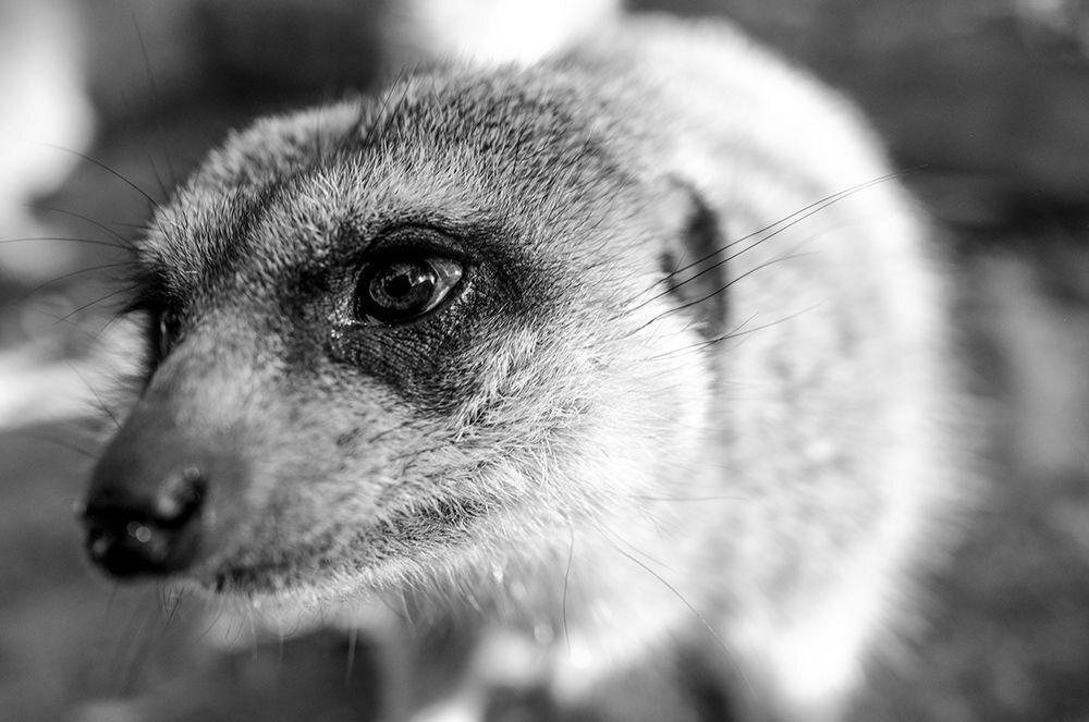 Obiektyw FUJINON F XF 23mm f-1.4 R LM WR PD   ogniskowa przysłona ostrość pierścienie optyka soczewki powłoki montaż bagnet światło jasność zoom filtry waga