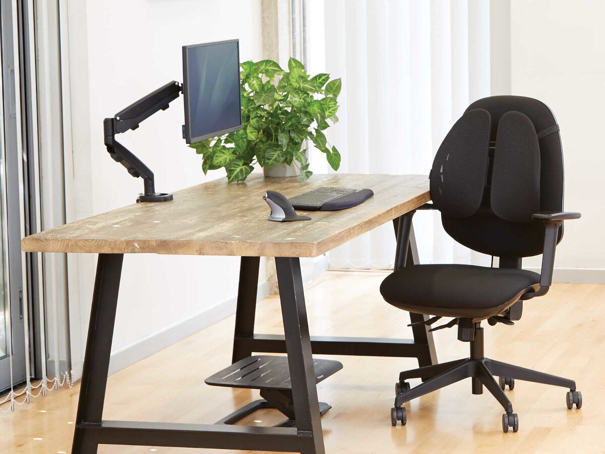 Uchwyt do monitora FELLOWES Eppa 9683101 39 cali Czarny kolory wygląd styl