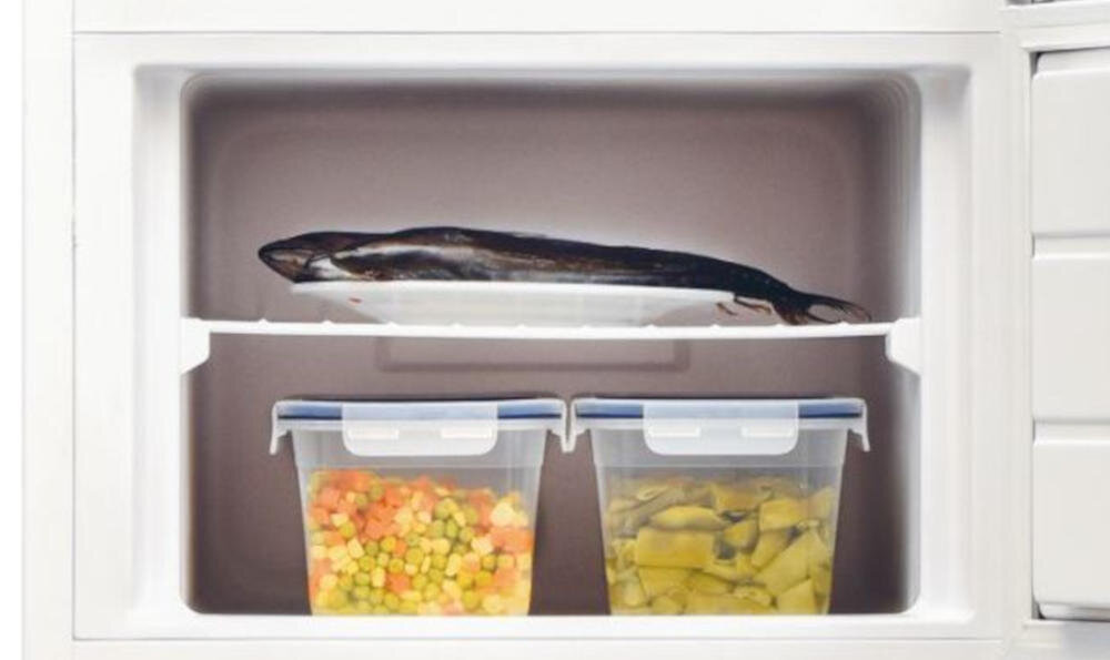 CANDY CDV1S514ESHE lodówka statyczna zamrażarka funkcja mrożenie