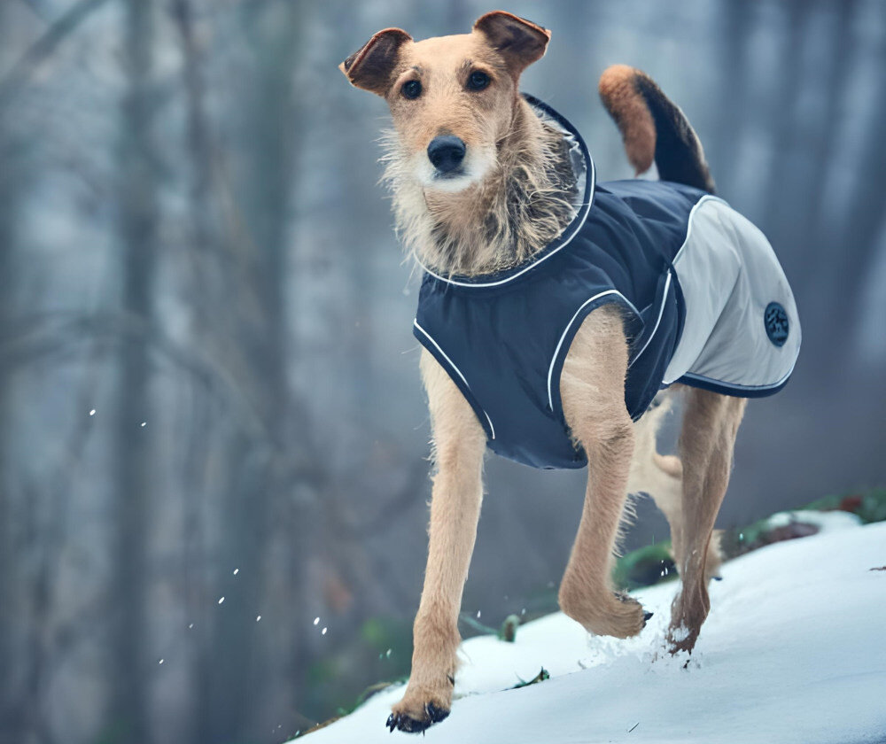 Kurtka dla psa HUNTER Uppsala Cozy 65455 (45 cm) Szary wygląd prezentacja design wizualizacja Komfort w każdą pogodę