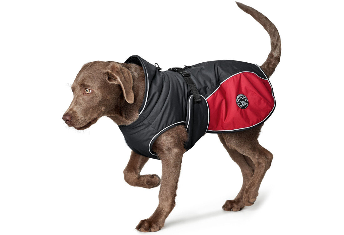 Kurtka dla psa HUNTER Uppsala Cozy 65427 (25 cm) Czerwony wygląd prezentacja design wizualizacja Komfort w każdą pogodę