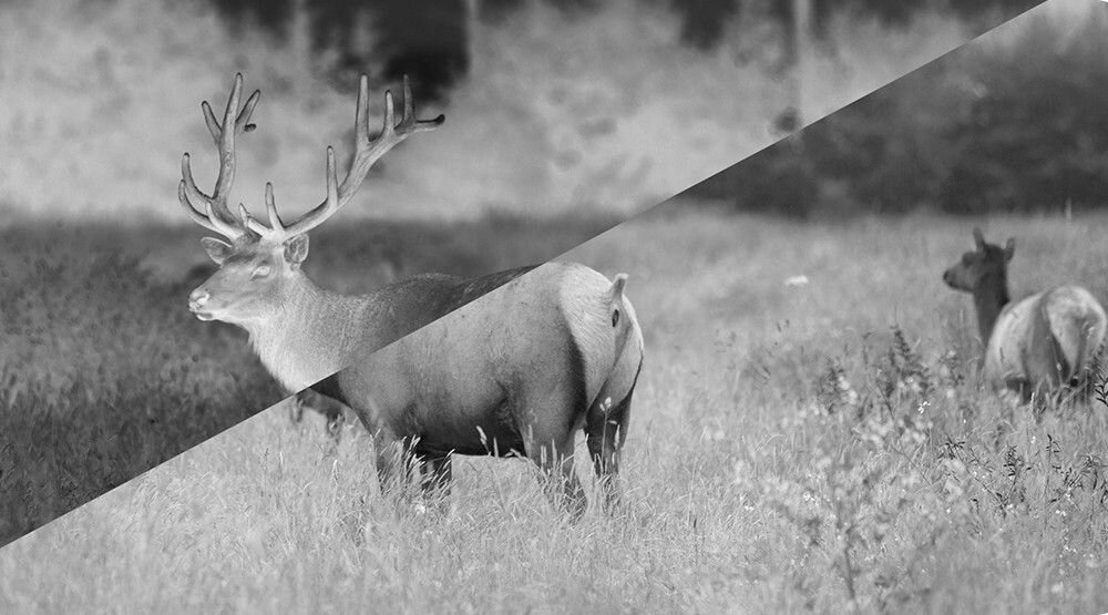 Smartfon DOOGEE S89 8/128GB 6.3 kamera noktowizyjna