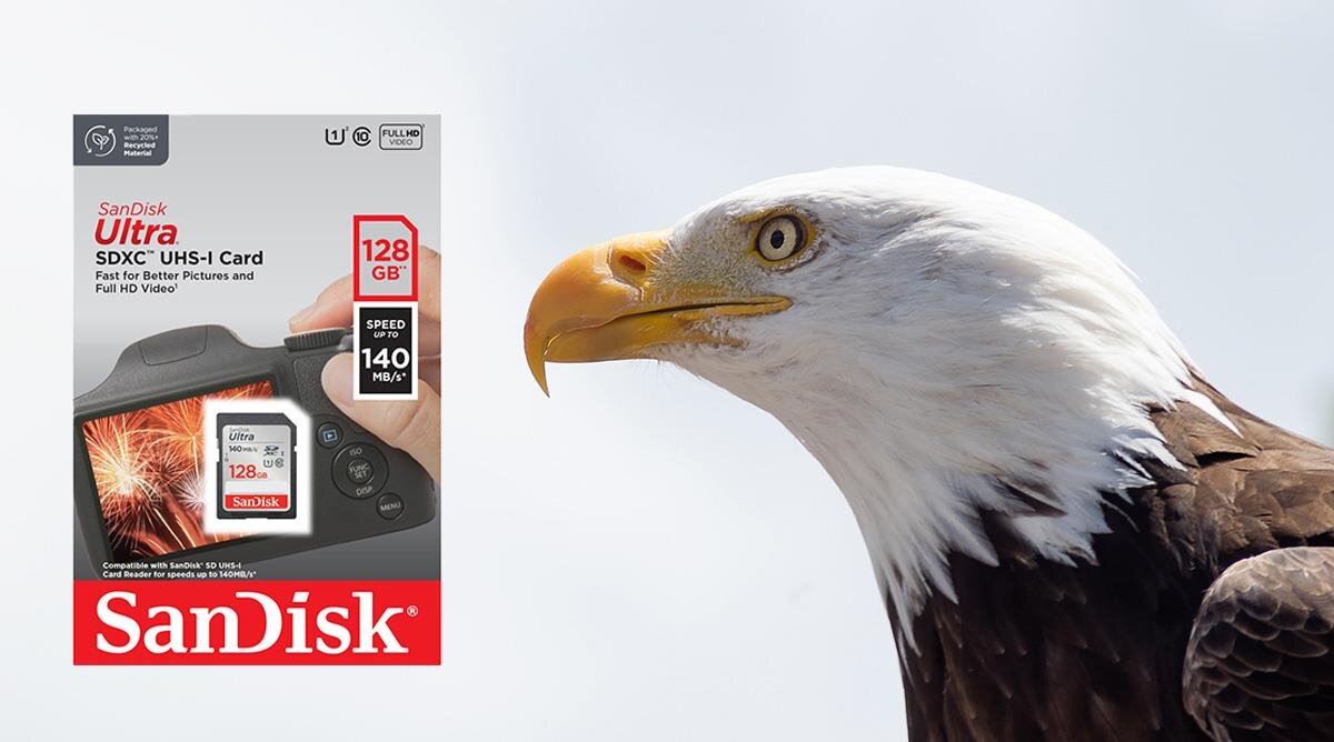 karta sandisk zdjecie lifestyle