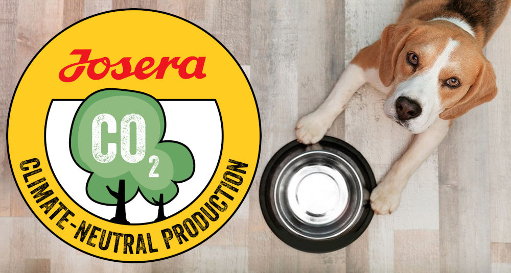 Karma dla psa JOSERA MiniSenior Łosoś 900 g naturalne składniki wielkość krokietów