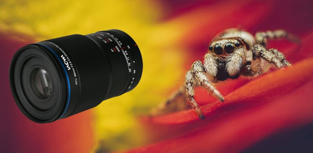 Laowa 90 mm f2,8 Ultra Macro APO zdjęcie przykładowe i widok z przodu