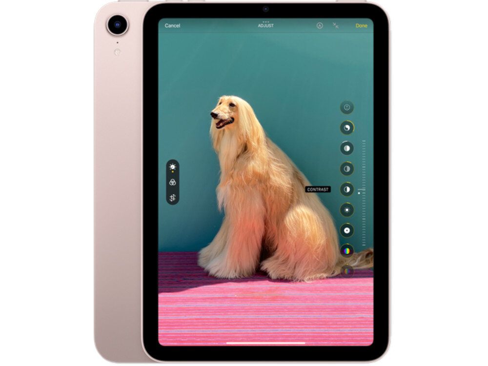 Tablet APPLE iPad mini 8.3 6 gen mozliwosc nagrywania w jakosci 4k