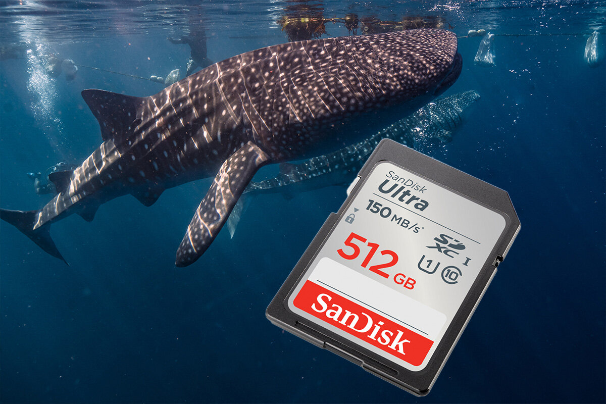 karta sandisk zdjecie lifestyle
