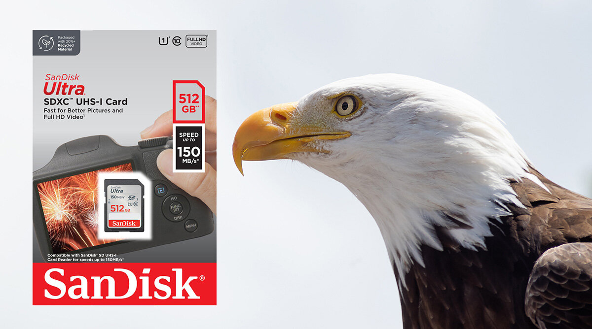 karta sandisk zdjecie lifestyle