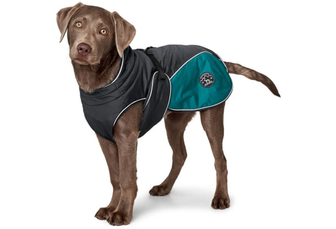 Kurtka dla psa HUNTER Uppsala Cozy 65440 (30 cm) Turkusowy wygląd prezentacja design wizualizacja Komfort w każdą pogodę