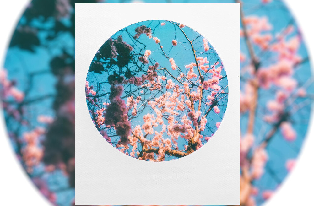 Wkłady POLAROID Kolor 600 Film 8 arkuszy kolor ramka kształt