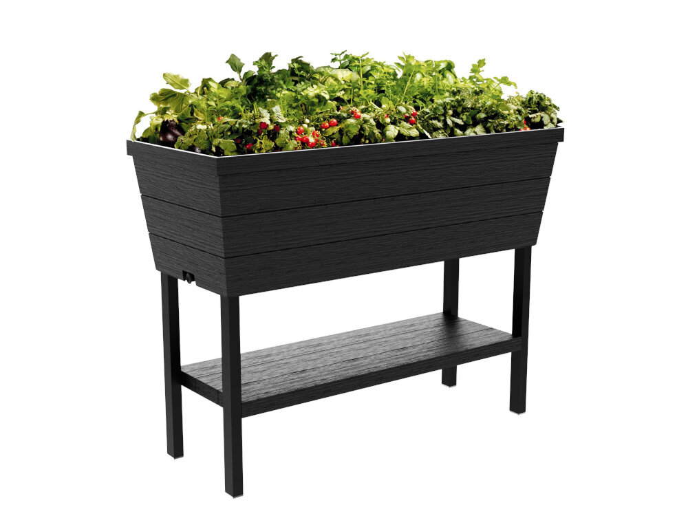 Donica KETER Urban Bloomer 48 L Grafitowy donica na białym tle wypełniona roślinami ustawiona po skosie grafitowa kolorystyka elegancki design dekoracyjny element na tarasie balkonie czy w ogrodzie subtelna struktura powierzchni niewielkie wymiary 82 x 37,3 x 78 cm komfortowa pielęgnacja kwiatów ziół i warzyw