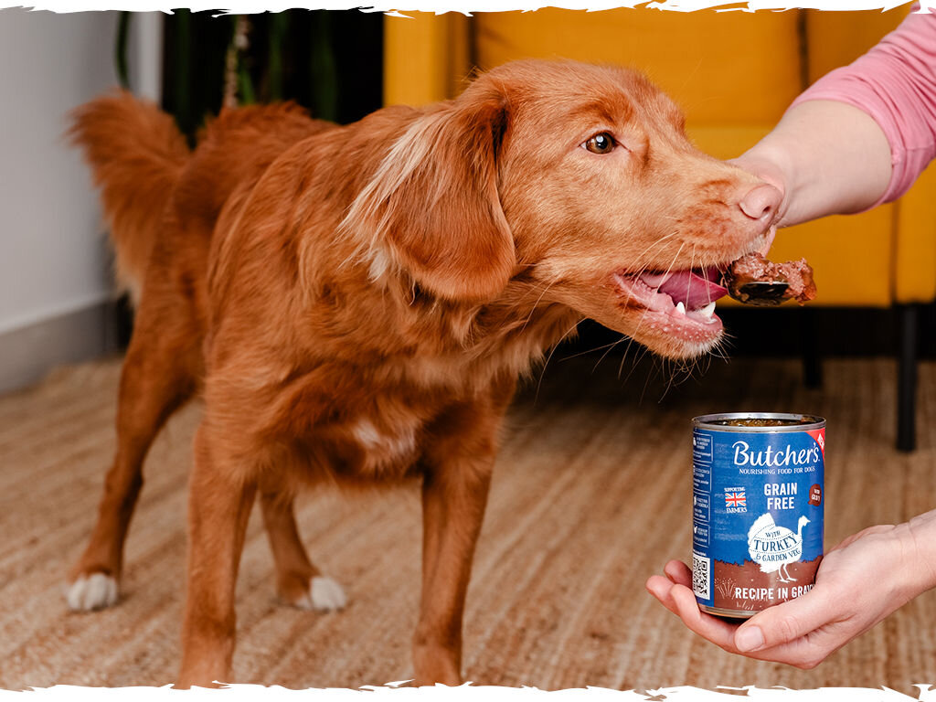 Karma dla psa BUTCHER'S Original Recipe in Gravy Indyk 400 g butchers original gravy pies grafika trzecia 400g