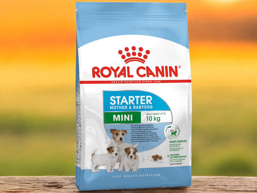 Karma dla psa ROYAL CANIN SHN Mini Starter M&B 4 kg naturalne składniki opakowanie na tle łąki