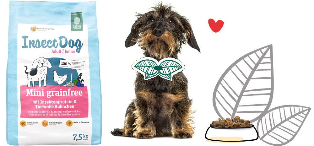 Karma dla psa GREEN PETFOOD InsectDog Mini Grainfree Kurczak 7.5 kg naturalne składniki