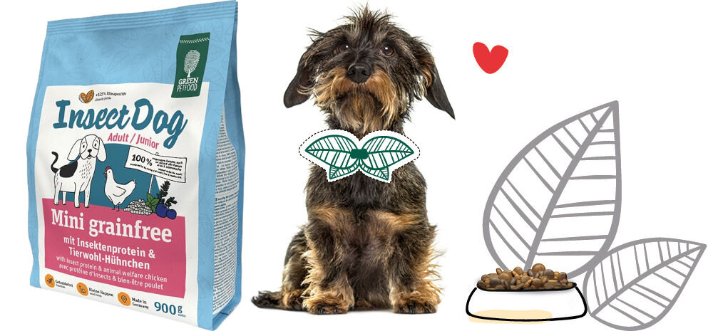 Karma dla psa GREEN PETFOOD InsectDog Mini Grainfree Kurczak 900 g naturalne składniki