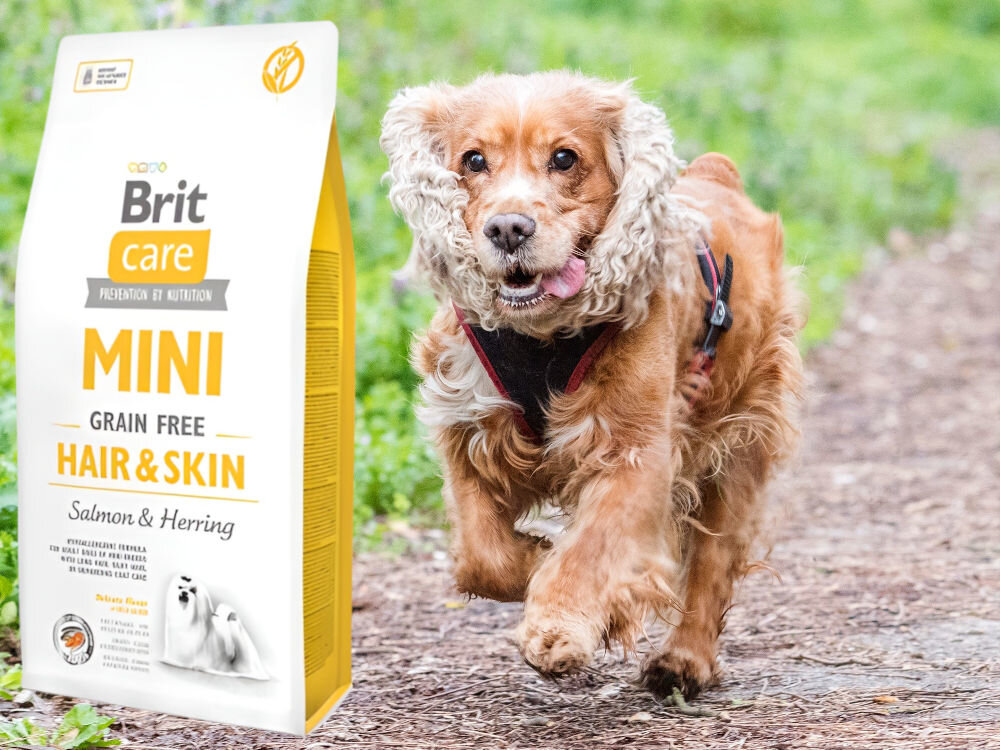 Karma dla psa BRIT Care Mini Hair & Skin Łosoś ze śledziem 7 kg witaminy zdrowie