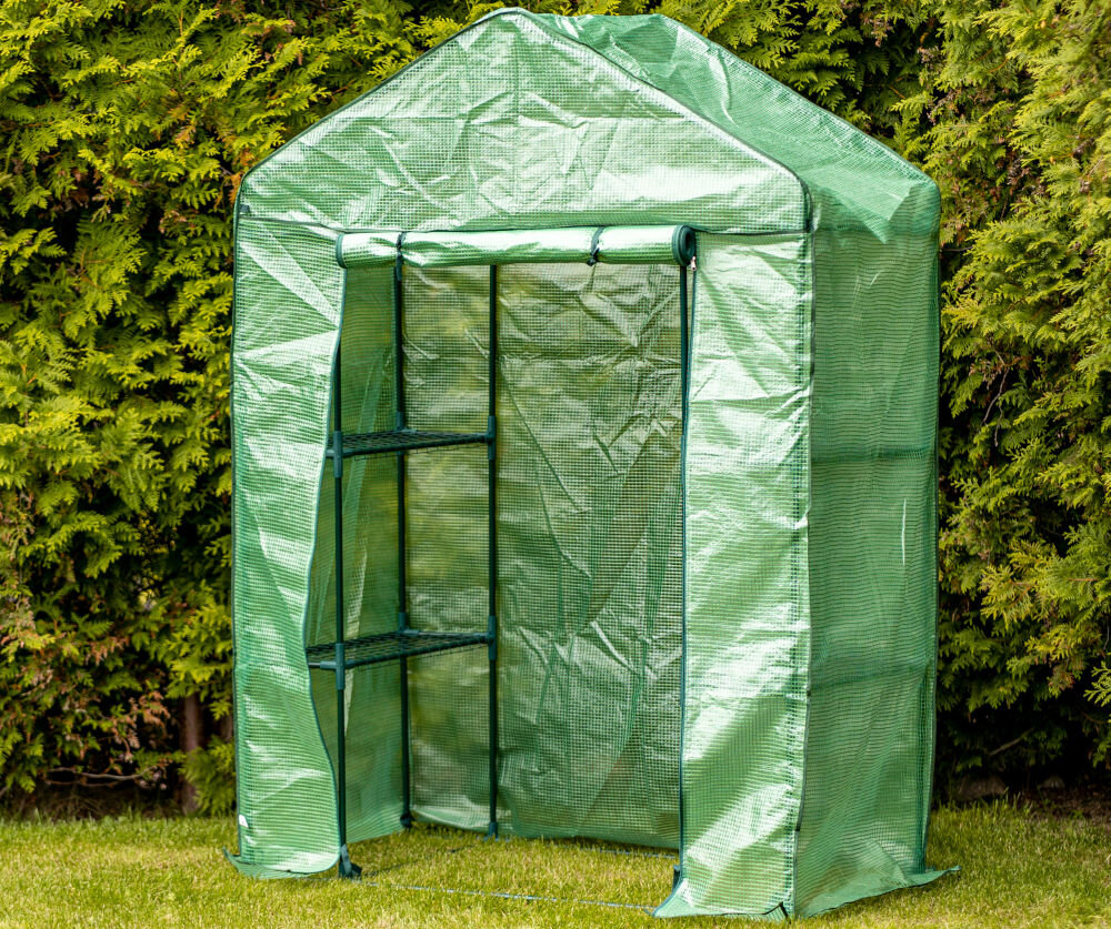 Szklarnia MIRPOL 140 x 200 x 70 cm Zielony, szklarnia, balkon, rośliny, uprawa, w tle żywopłot z thuji, na pierwym planie w pełnu rozłożona szklarnia mirpol