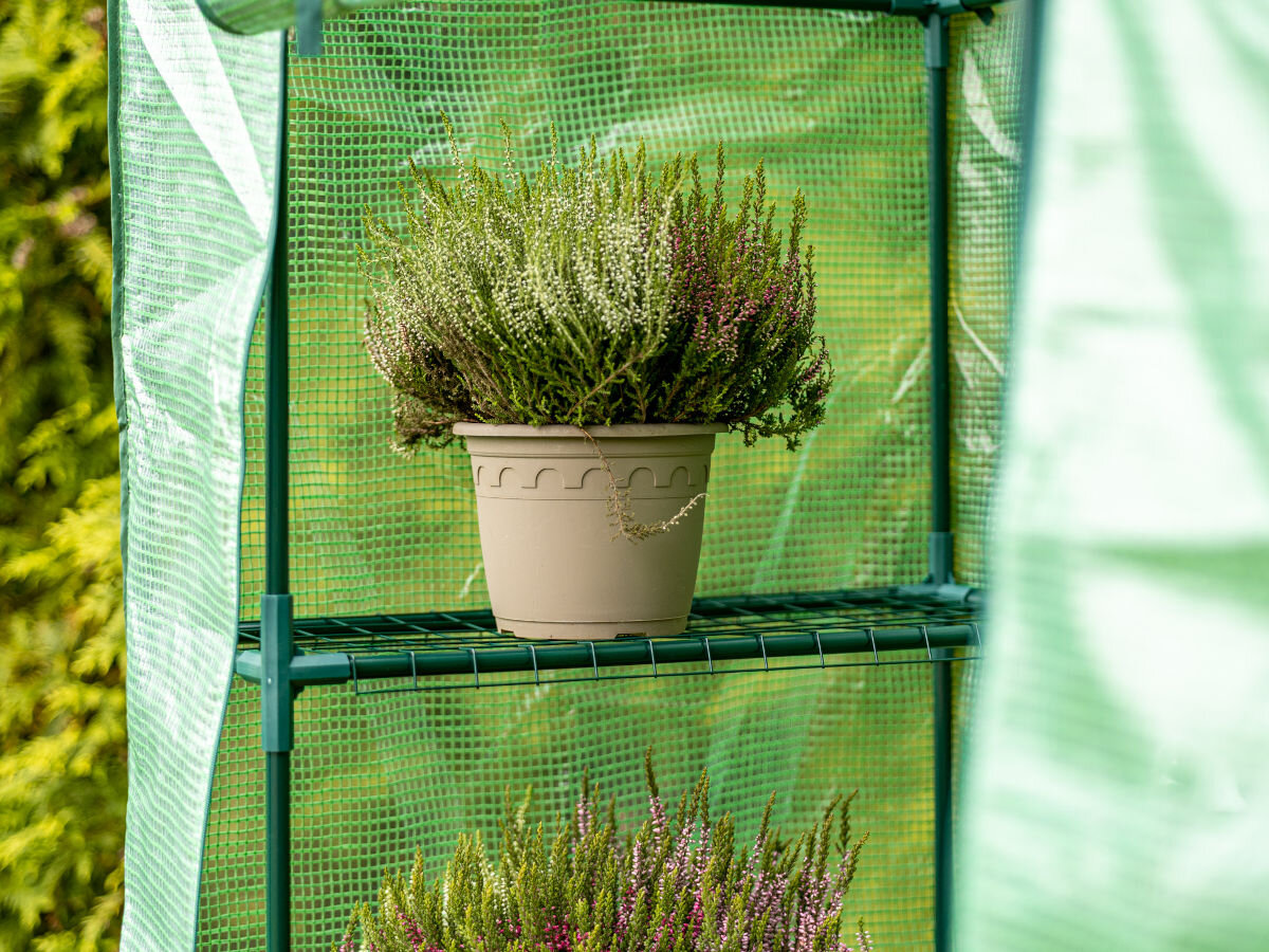 Szklarnia MIRPOL 140 x 200 x 70 cm Zielony, uprawa, zioła, warzywa, owoce, dostosowanie, w tle ogród, na półce zbliżenie na stojącym na niej kwiat