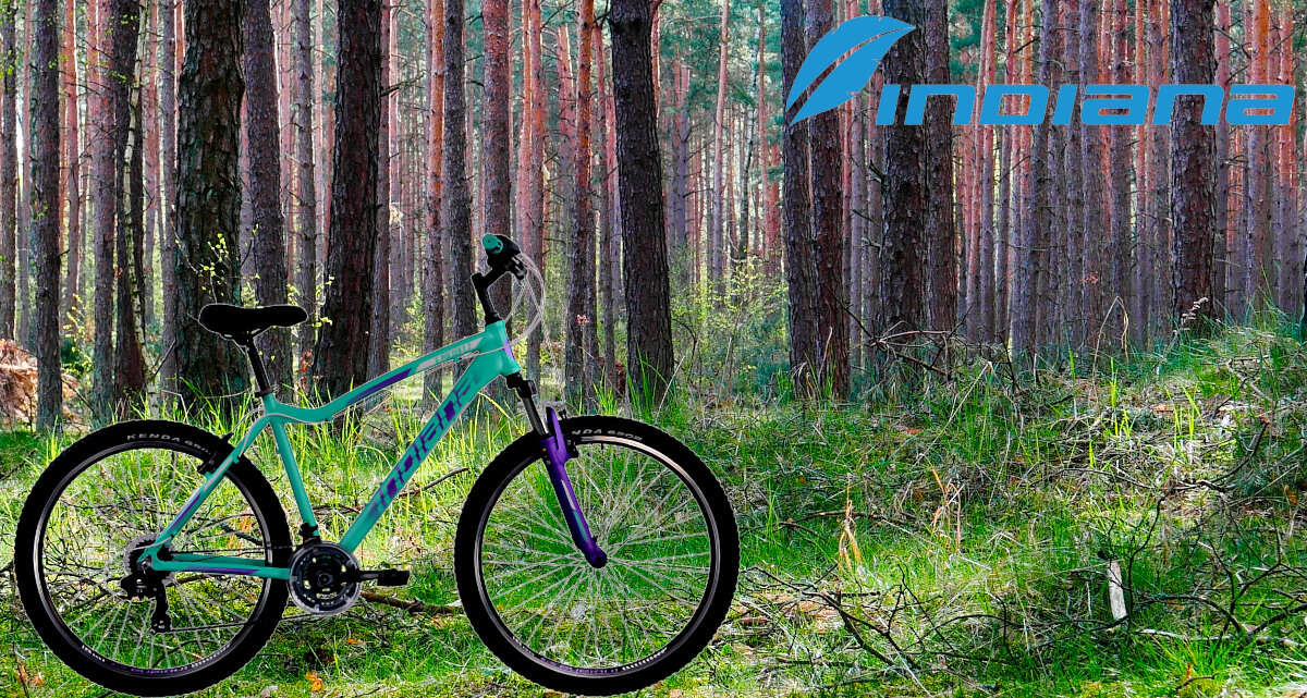 Rower górski MTB INDIANA X-Pulser 1.7 wyglad
