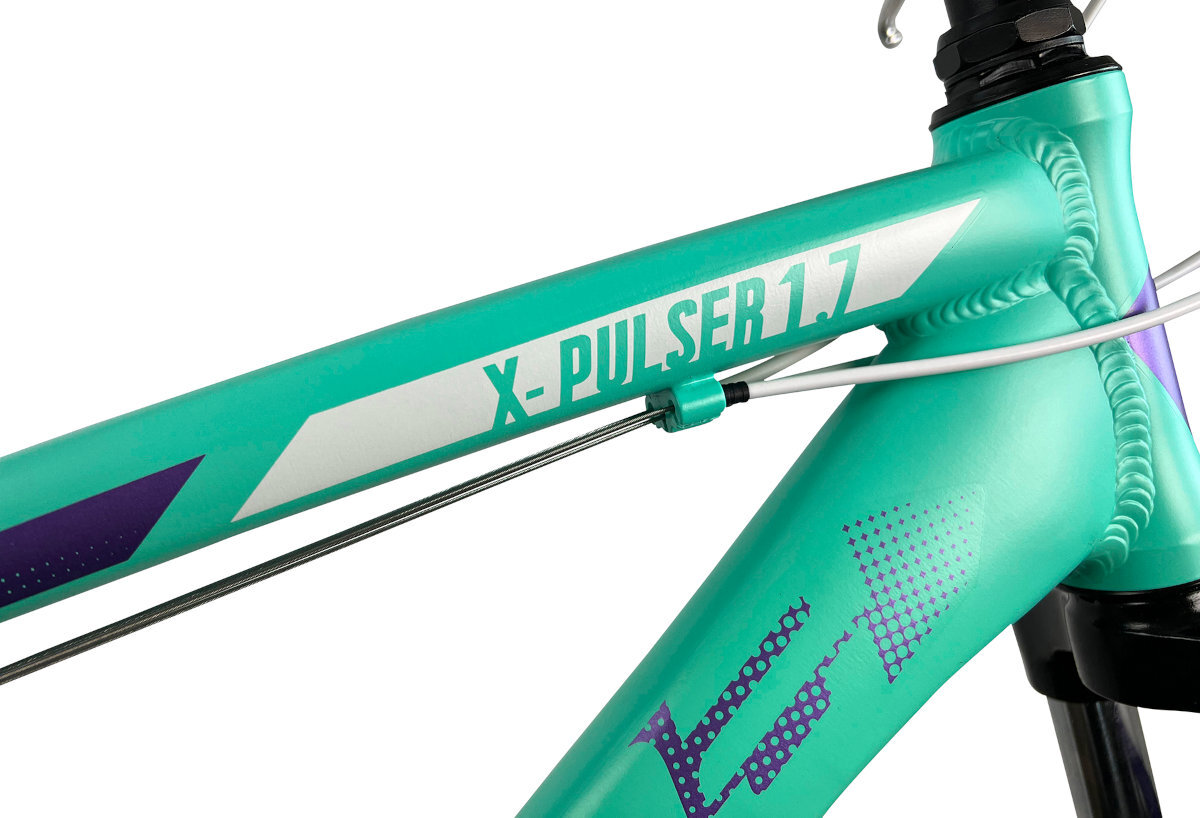 Rower górski MTB INDIANA X-Pulser 1.7 rama