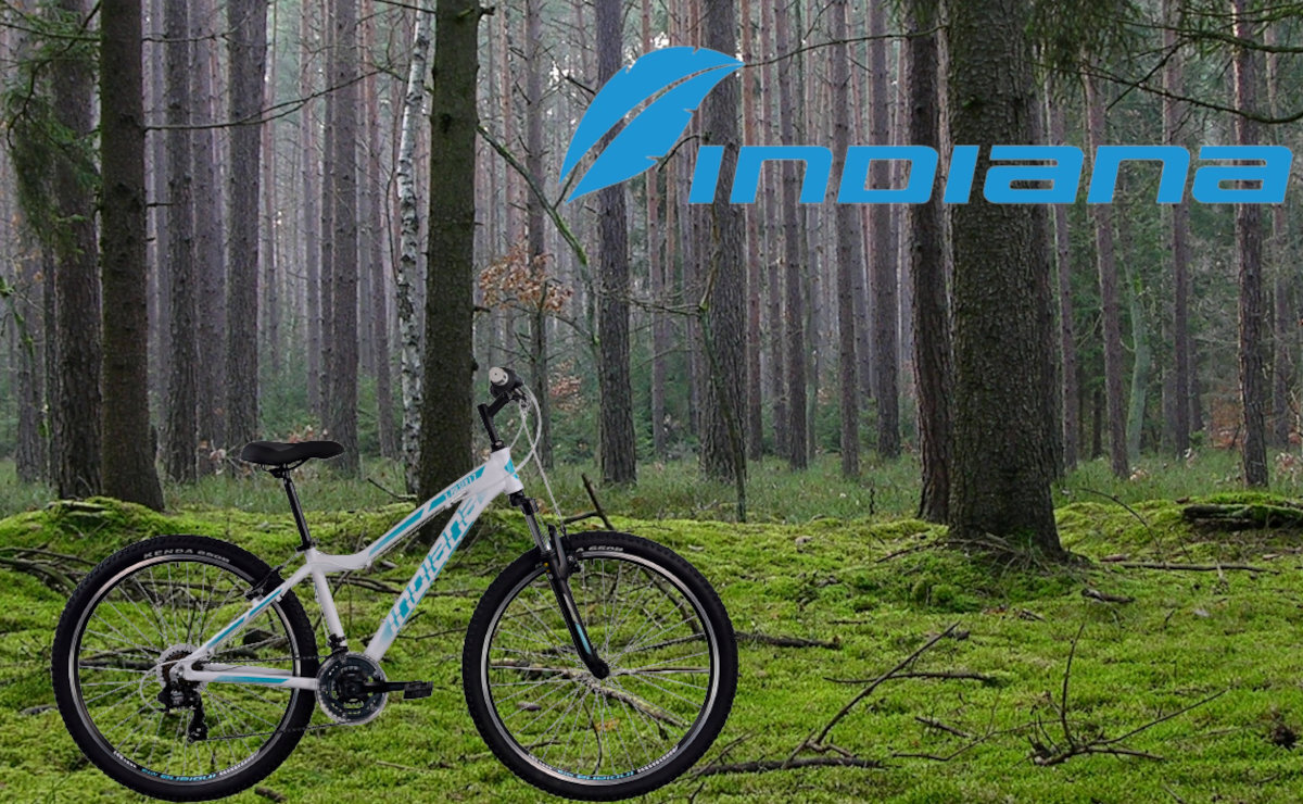 Rower górski MTB INDIANA X-Pulser 1.7 wyglad