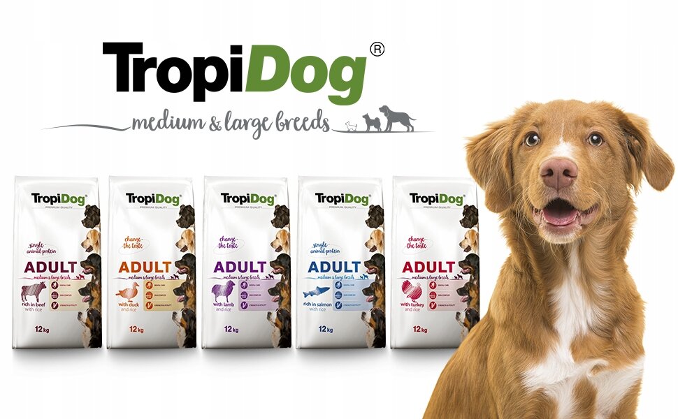 Na obrazie widoczne są opakowania suchej karmy dla psów marki TropiDog z napisem \'ADULT\' oraz pies. Logo TropiDog znajduje się nad opakowaniami z dopiskiem \'medium & large breeds\'.