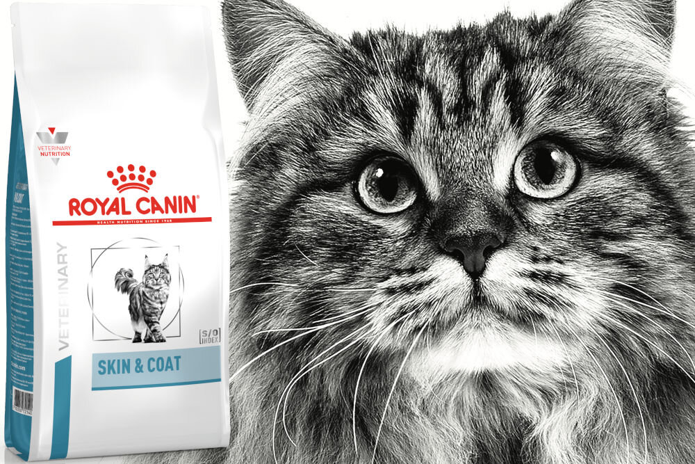 Karma dla kota ROYAL CANIN Skin & Coat 3,5 kg naturalne składniki