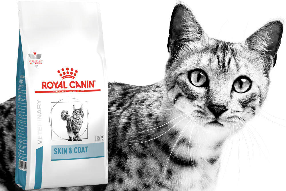 Karma dla kota ROYAL CANIN Skin & Coat 3,5 kg witaminy pierwiastki aminokwasy