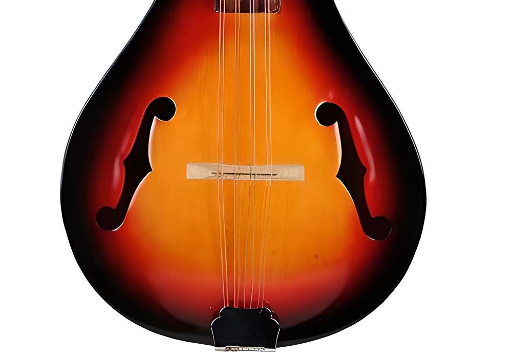 V-TONE M108 Sunburst mandolina korpus płyta sunburst boki gryf drewno motylki