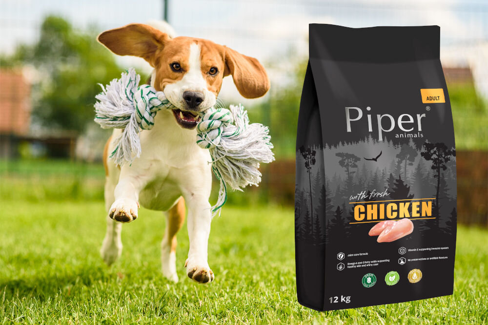 Karma dla psa PIPER Animals Kurczak 12 kg naturalne składniki wielkość krokietów