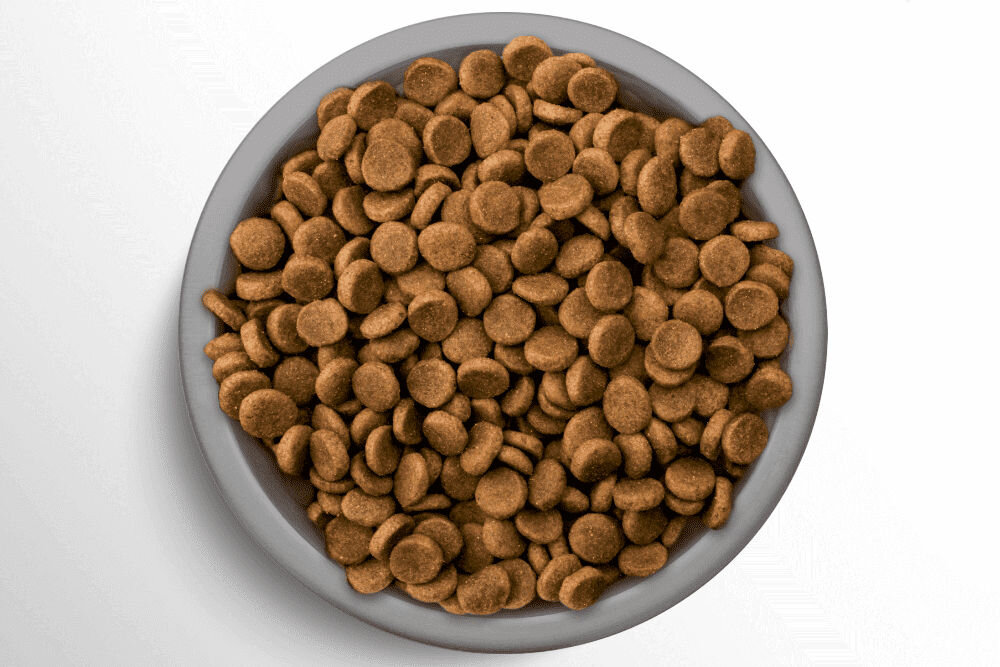 Karma dla psa PERFECT FIT Adult Kurczak 6 kg witaminy pierwiastki aminokwasy