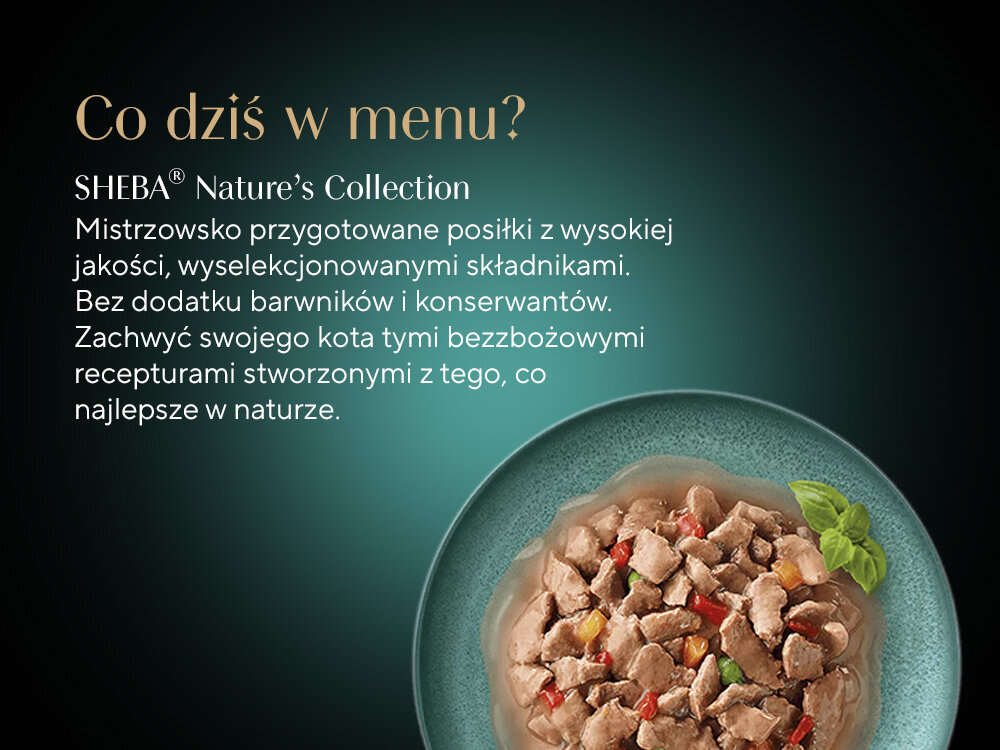 Karma dla kota SHEBA Nature's Collection Drobiowe smaki (8 x 85 g) skład talerz z karmą w sosie