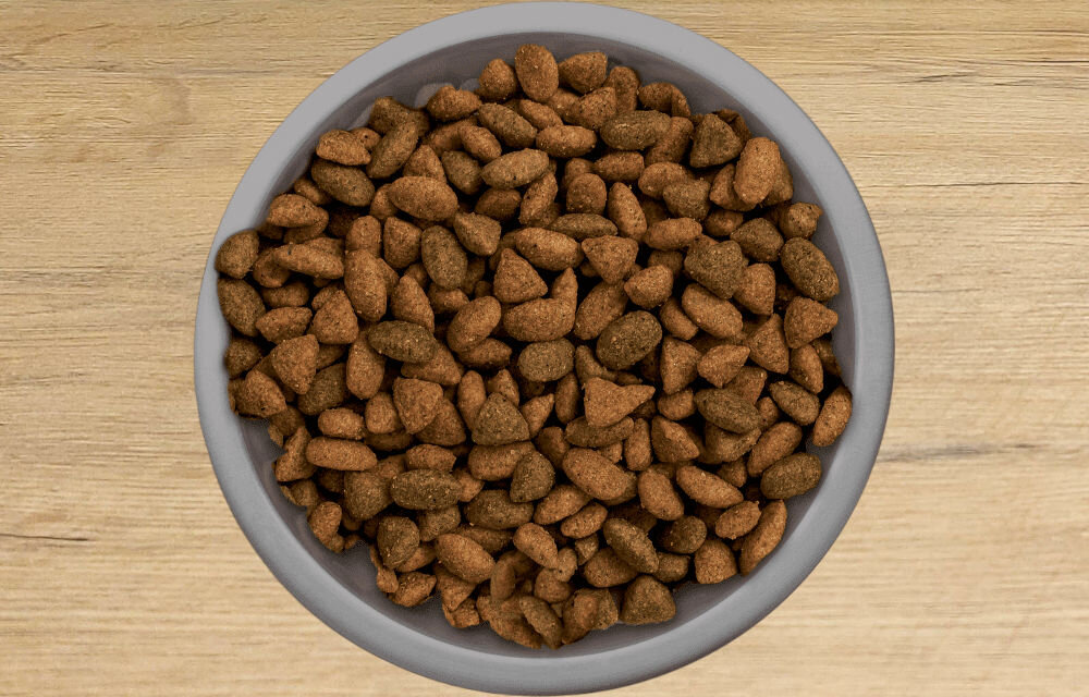 Karma dla kota PERFECT FIT Active Wołowina 7 kg naturalne składniki