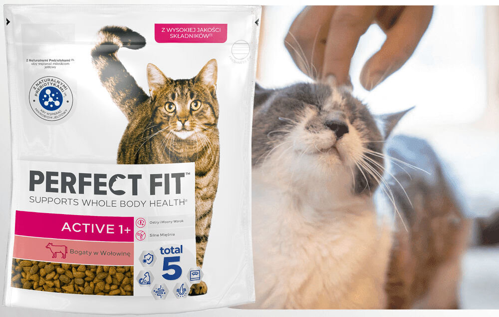 Karma dla kota PERFECT FIT Active Wołowina 7 kg dawkowanie analiza sklad
