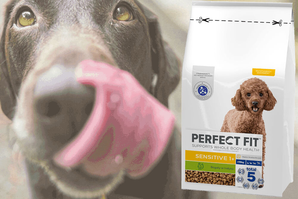 Karma dla psa PERFECT FIT Sensitive Indyk 6 kg dawkowanie analiza sklad