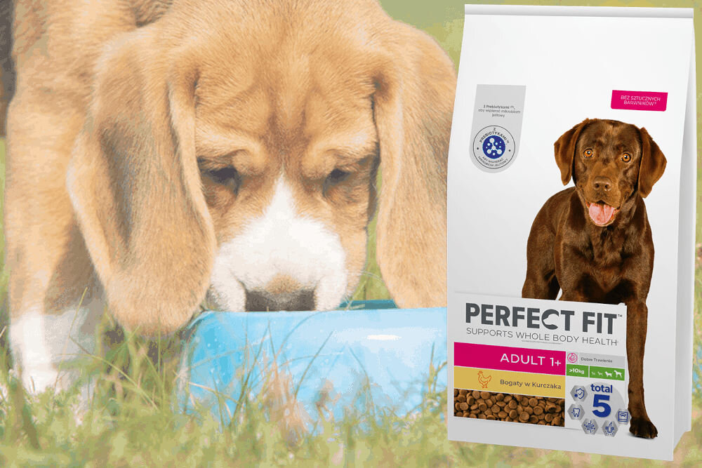 Karma dla psa PERFECT FIT Adult Kurczak 11,5 kg dawkowanie analiza sklad