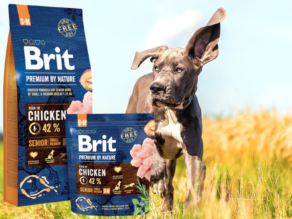 Karma dla psa BRIT Premium by Nature Senior Kurczak 1 kg dodatki analiza