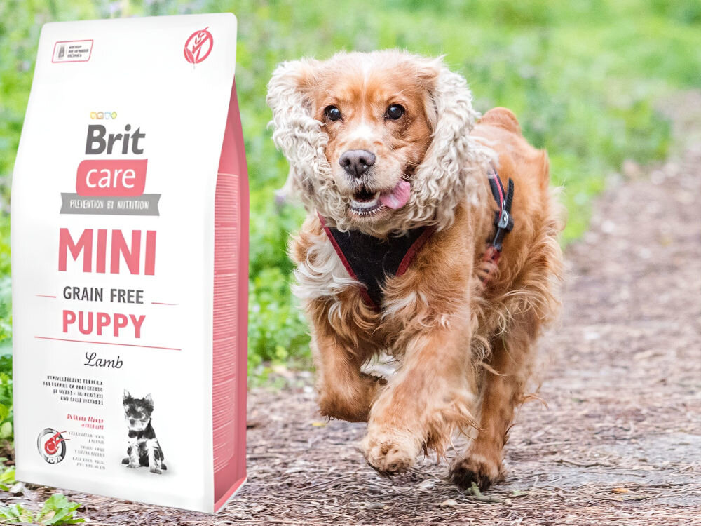 Karma dla psa BRIT Care Mini Jagnięcina 2 kg witaminy zdrowie