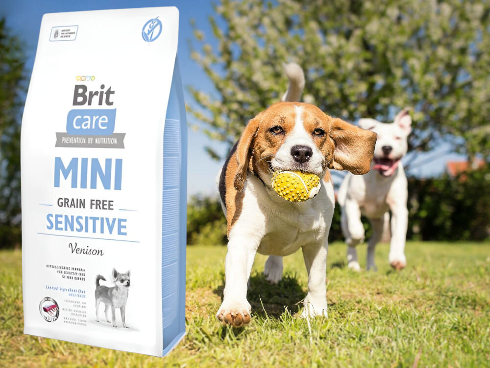 Karma dla psa BRIT Care Mini Sensitive Dziczyzna 400 g sklad zywienie
