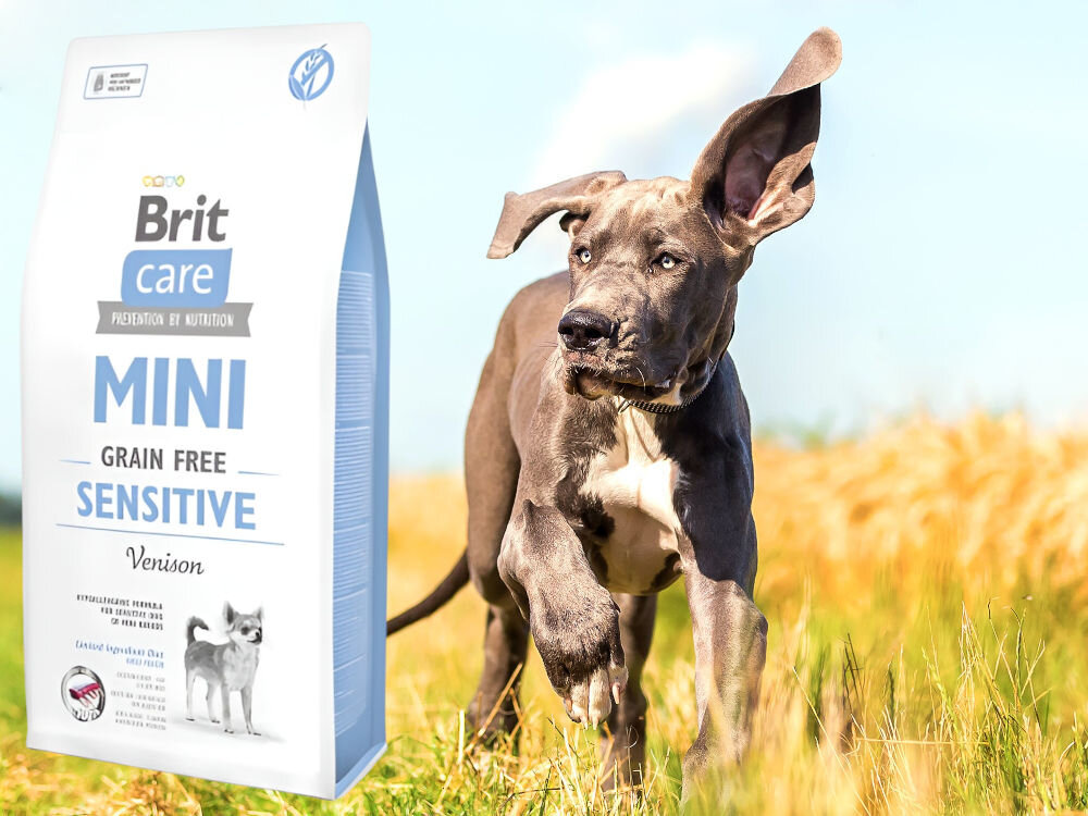 Karma dla psa BRIT Care Mini Sensitive Dziczyzna 400 g dodatki analiza