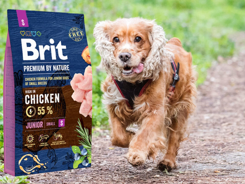 Karma dla psa BRIT Premium by Nature Junior Kurczak 1 kg zdrowie mobilnosc odpornosc kondycja