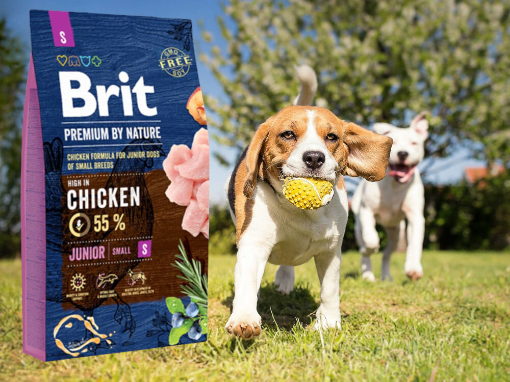 Karma dla psa BRIT Premium by Nature Junior Kurczak 1 kg sklad zywienie